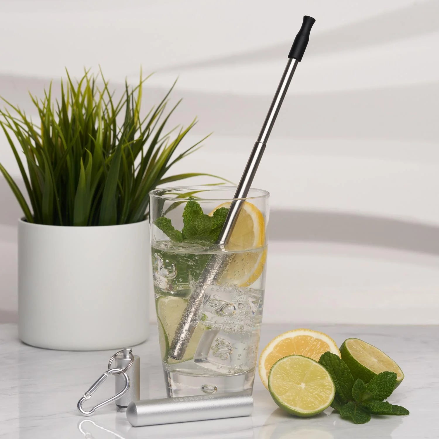 Travel Stainless Steel Straw - Silver