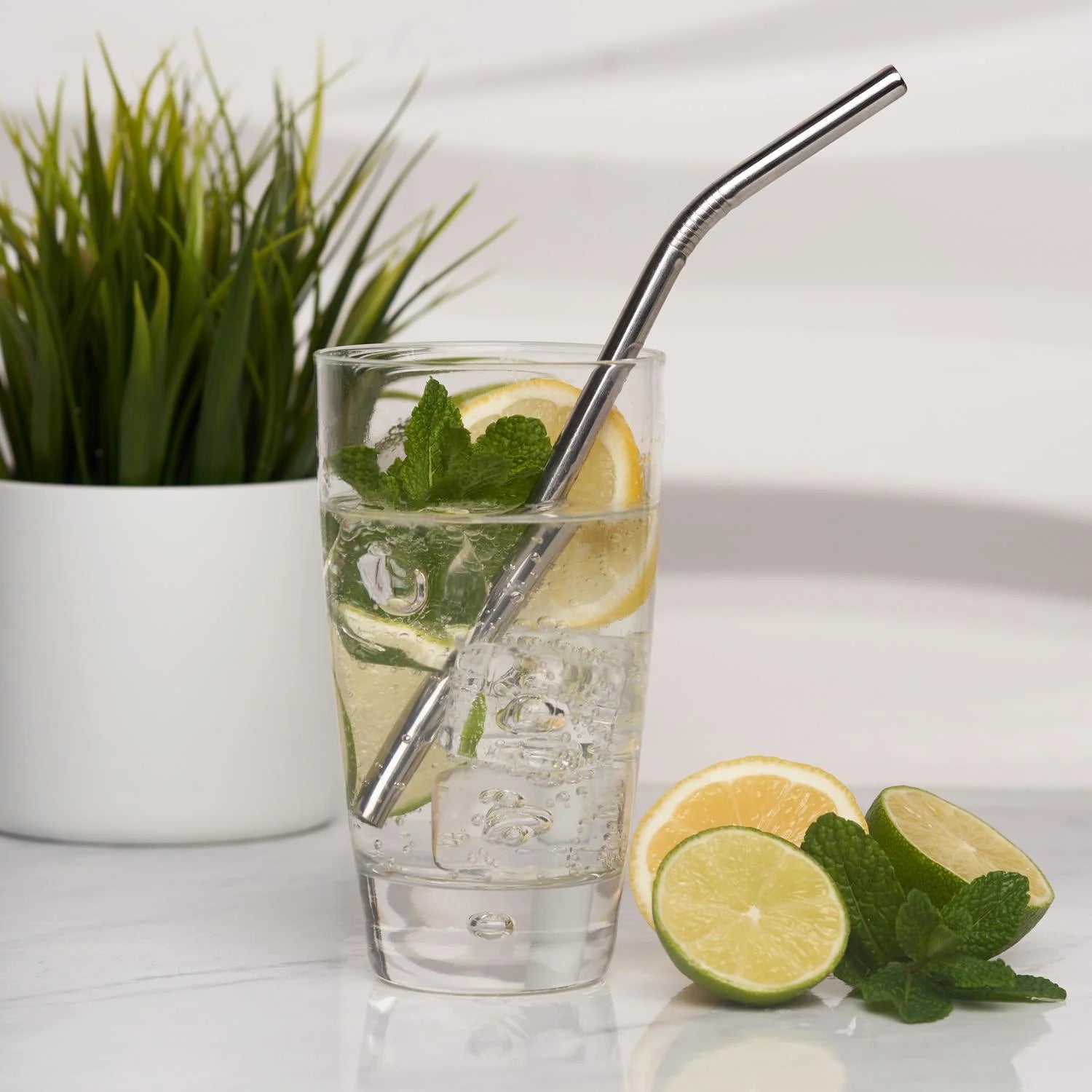 Reusable Straws - Silver